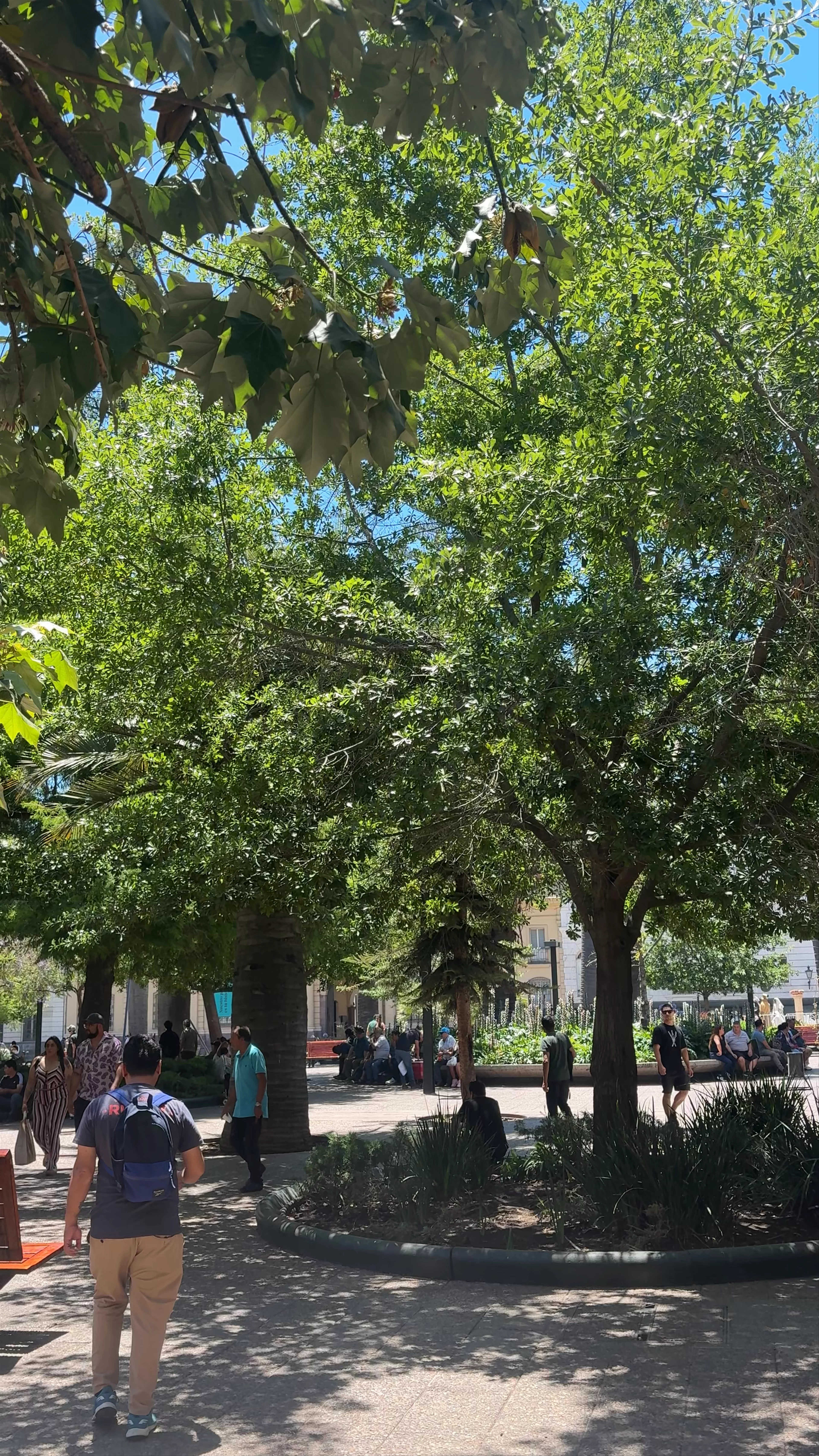 Plaza de Armas