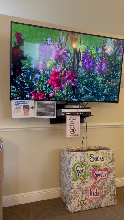 Moss Chiropractic Clinic - Beautiful and relaxing. - Chiropractors Near Me - Spring Hill, Florida