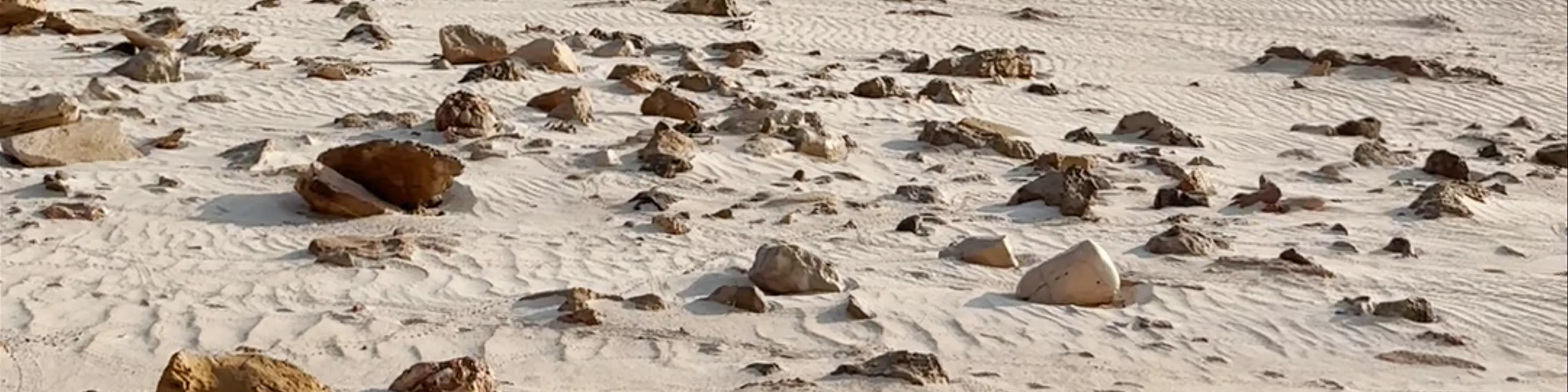 Arher Beach، Kalleesa