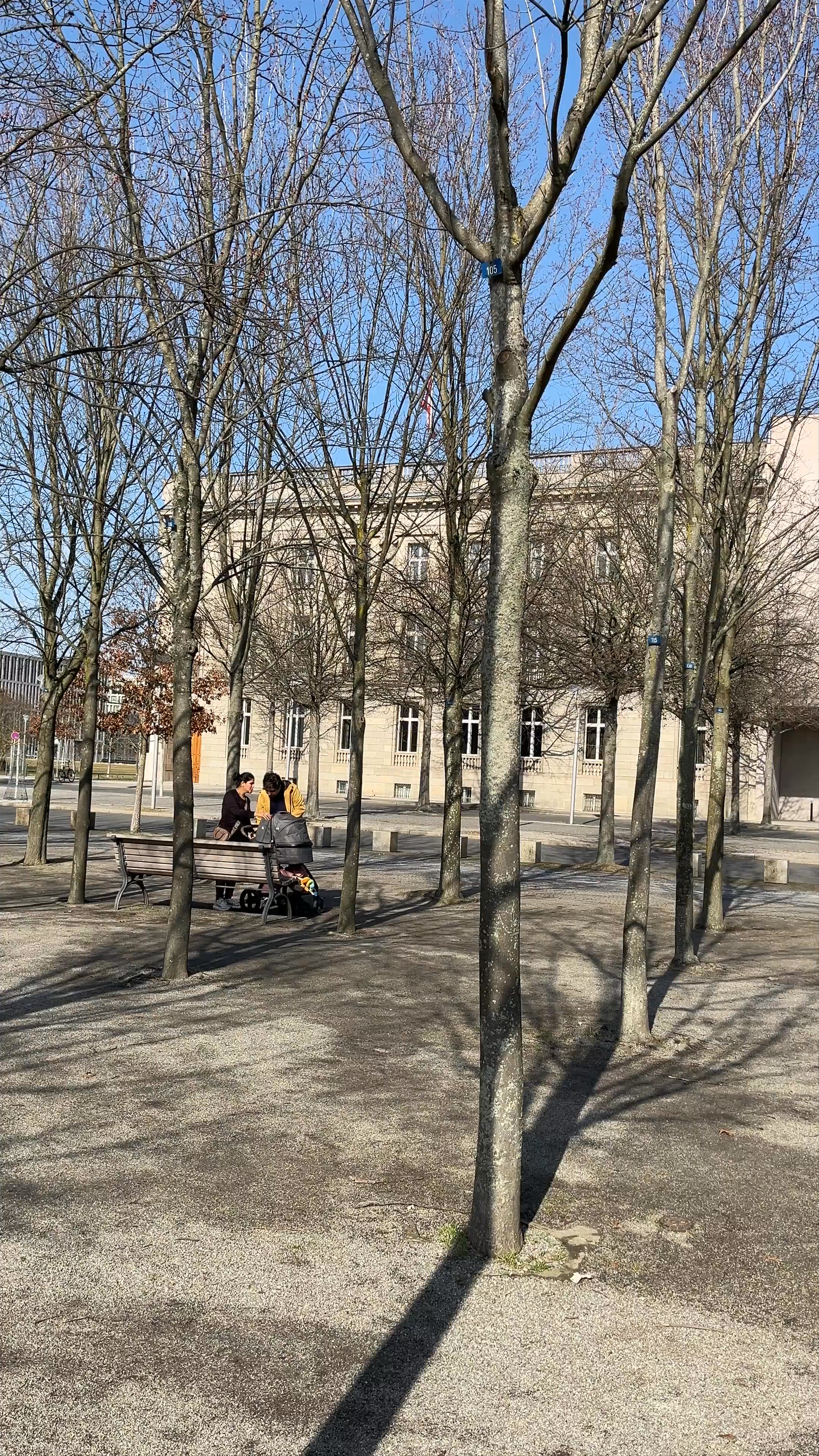 Tranquil Winter Walk at Platz der Republik, Berlin