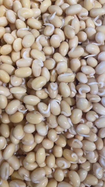Green Bliss - Organic Sprouted Soybeans - Organic Stores Near Me - Vancouver, British Columbia