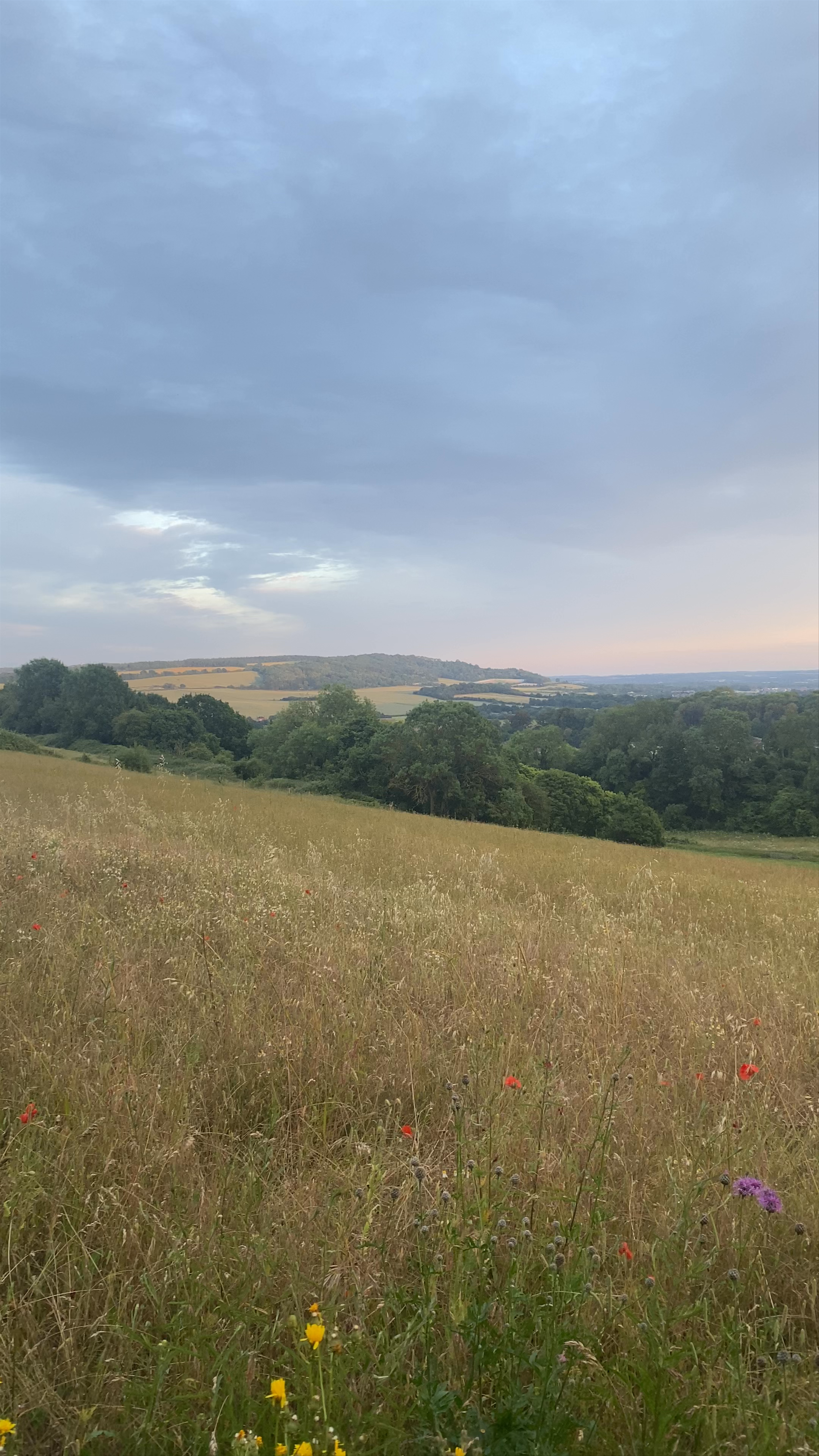 Ranscombe Farm Reserve