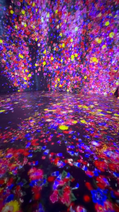 Superblue Miami - Art Museums Near Me - Miami, Florida
