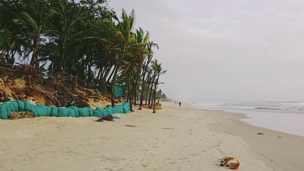 Photo of Goa Dairy: Beautiful