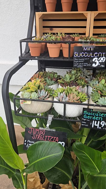 Trader Joe's - Plants outside - Grocery Near Me - Emeryville, California