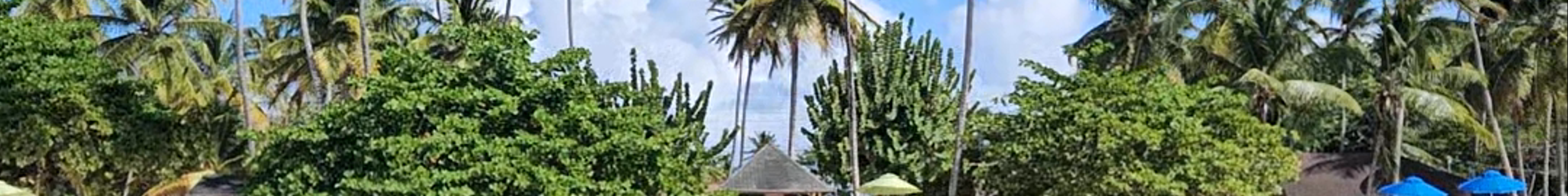 Tours & experiences in Trinidad and Tobago