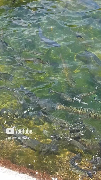 Red River Fish Hatchery - Fishing Near Me - Questa, New Mexico