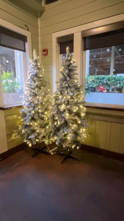 Christmas Lodge - The left side of the Christmas lodge - Bars Near Me - Aiea, Hawaii