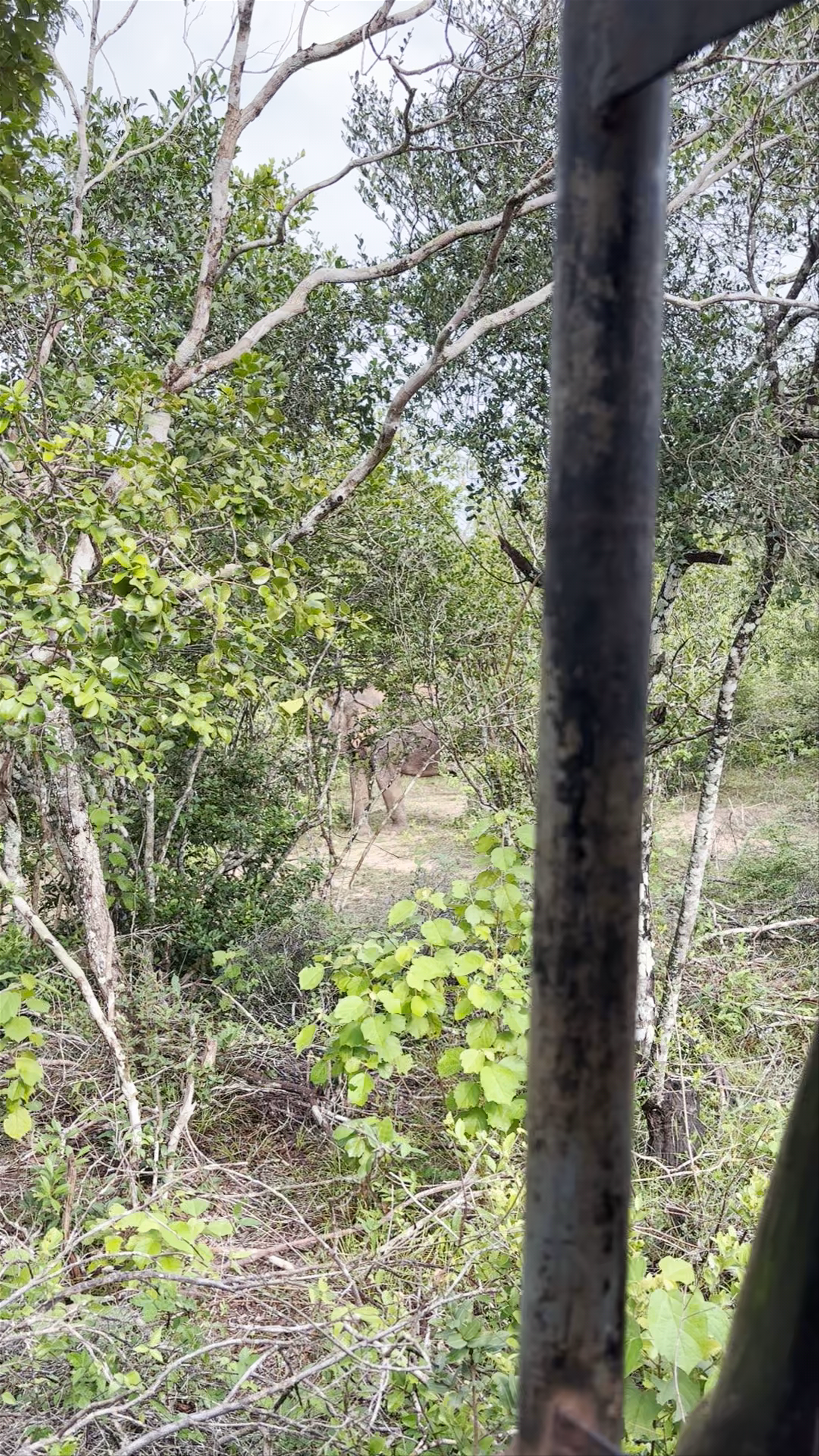 Wilpattu National Park