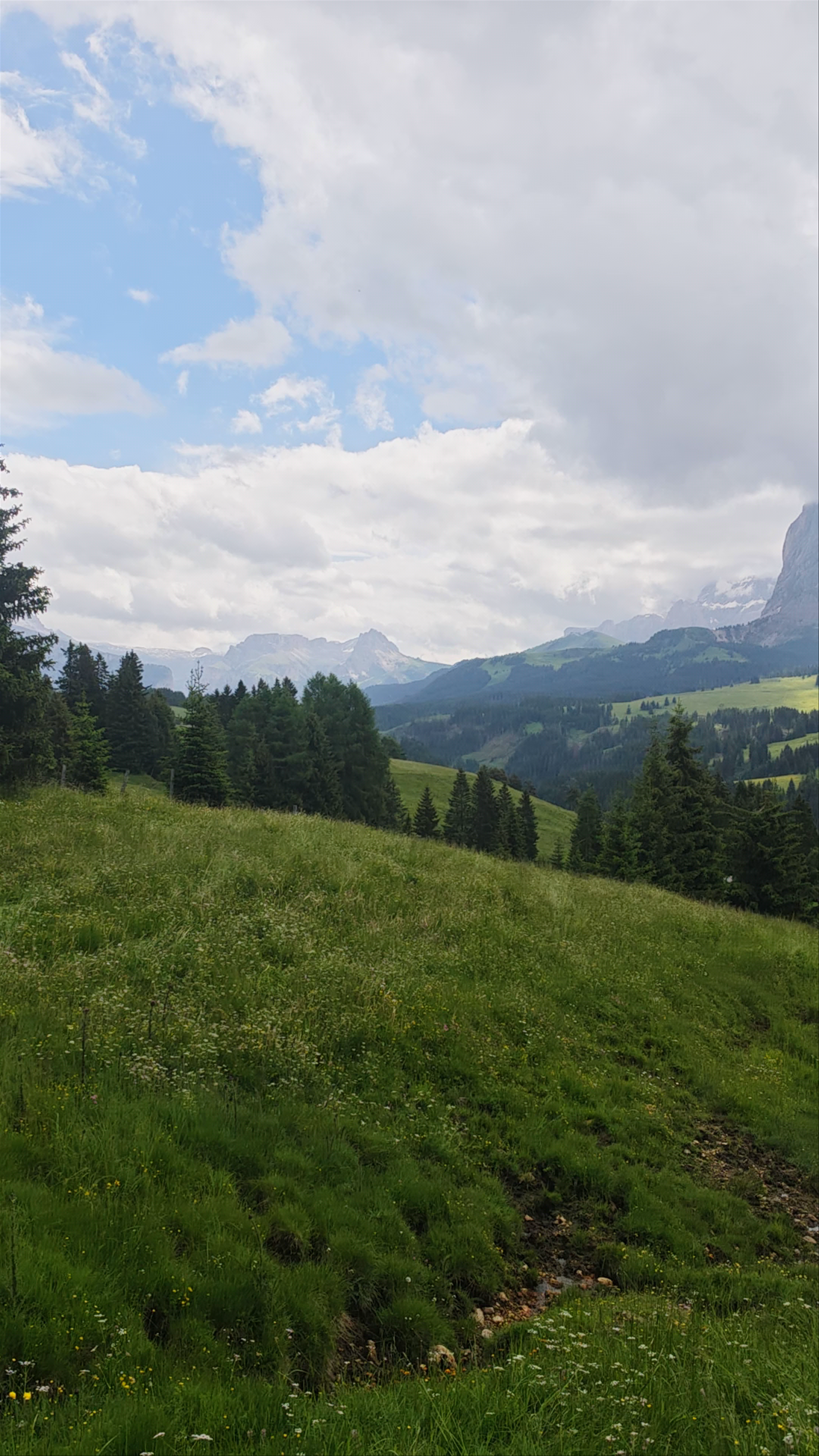 Panorama Alpe di Siusi: Majestic Alpine Exploration in South Tyrol