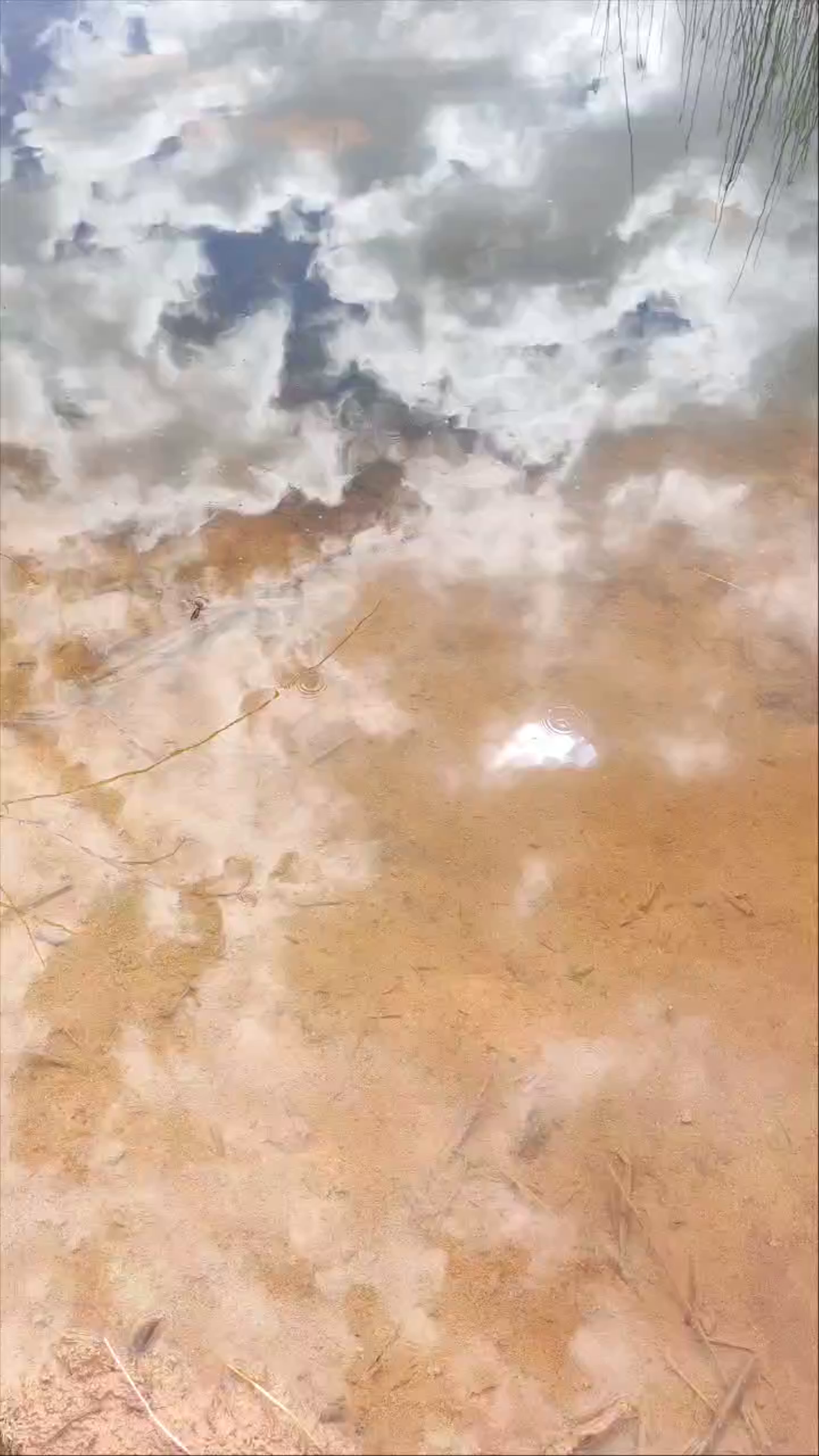 Laguna Margas Rojas