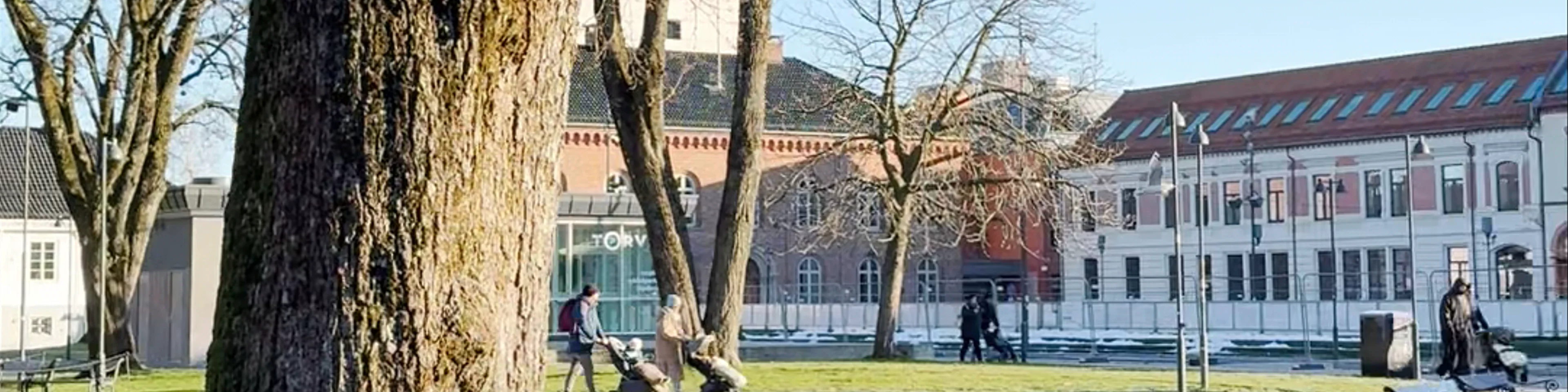 Wergelandsparken