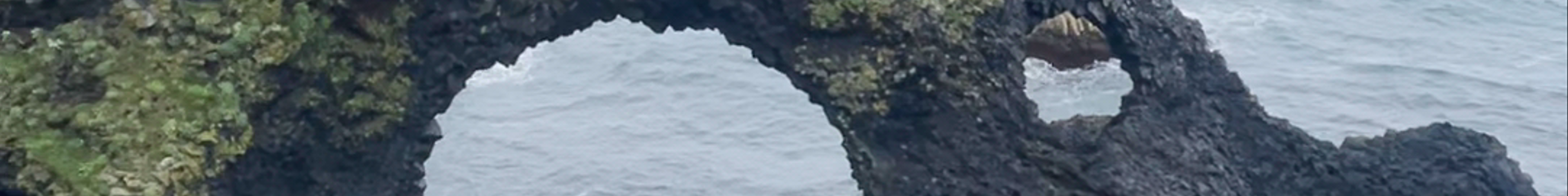 Tours & experiences in Ólafsvík