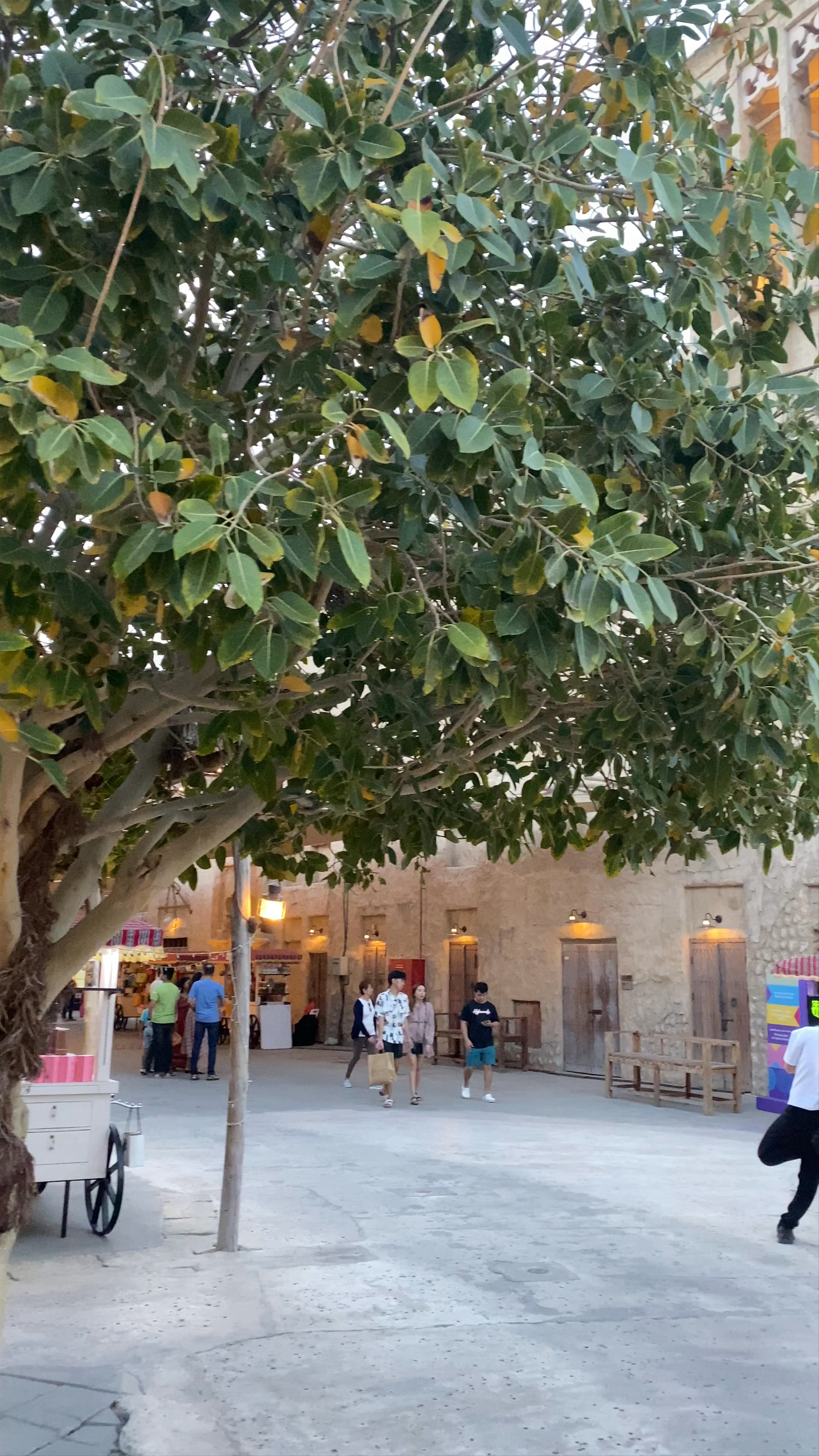 Al Seef - Al Seef Street - Dubai - United Arab Emirates