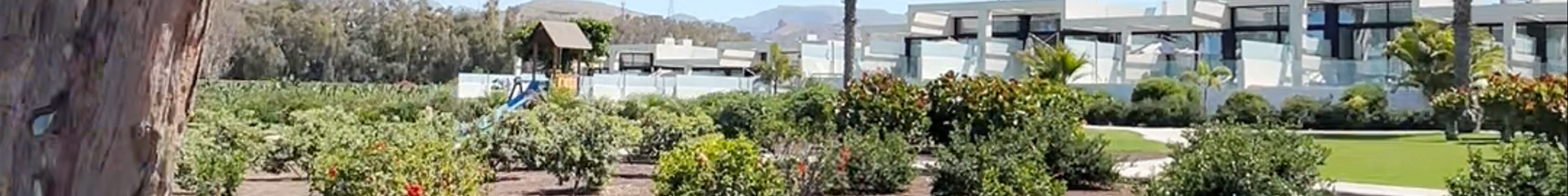 Tours & experiences in Maspalomas