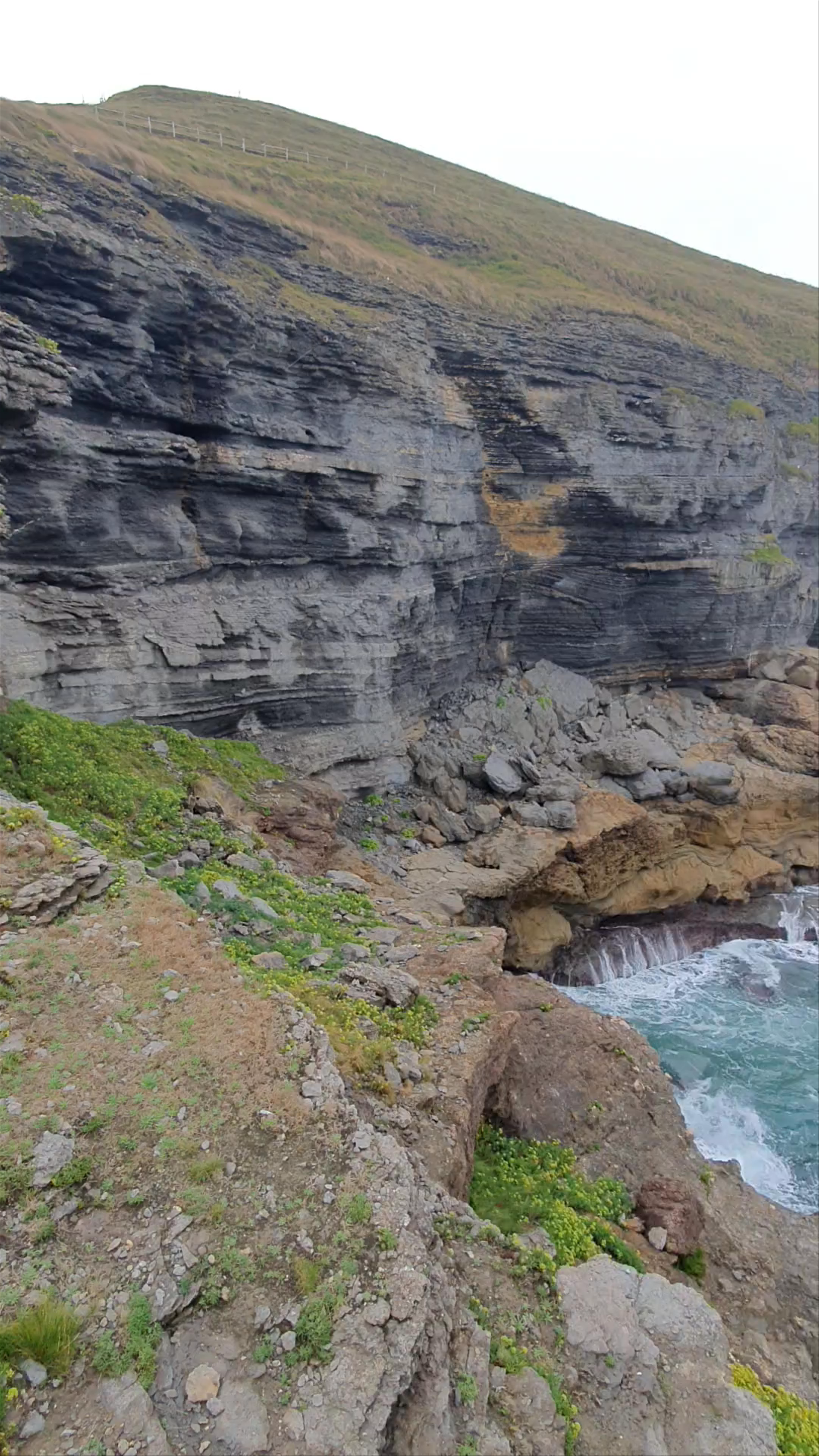 Observatorio de aves de La Arenilla