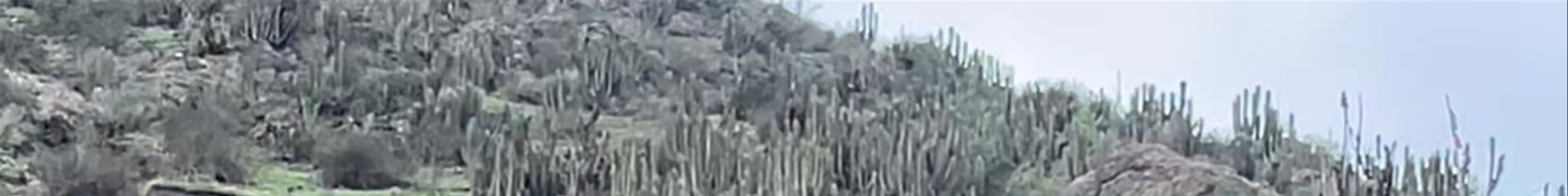 Tours & experiences in Vicuña