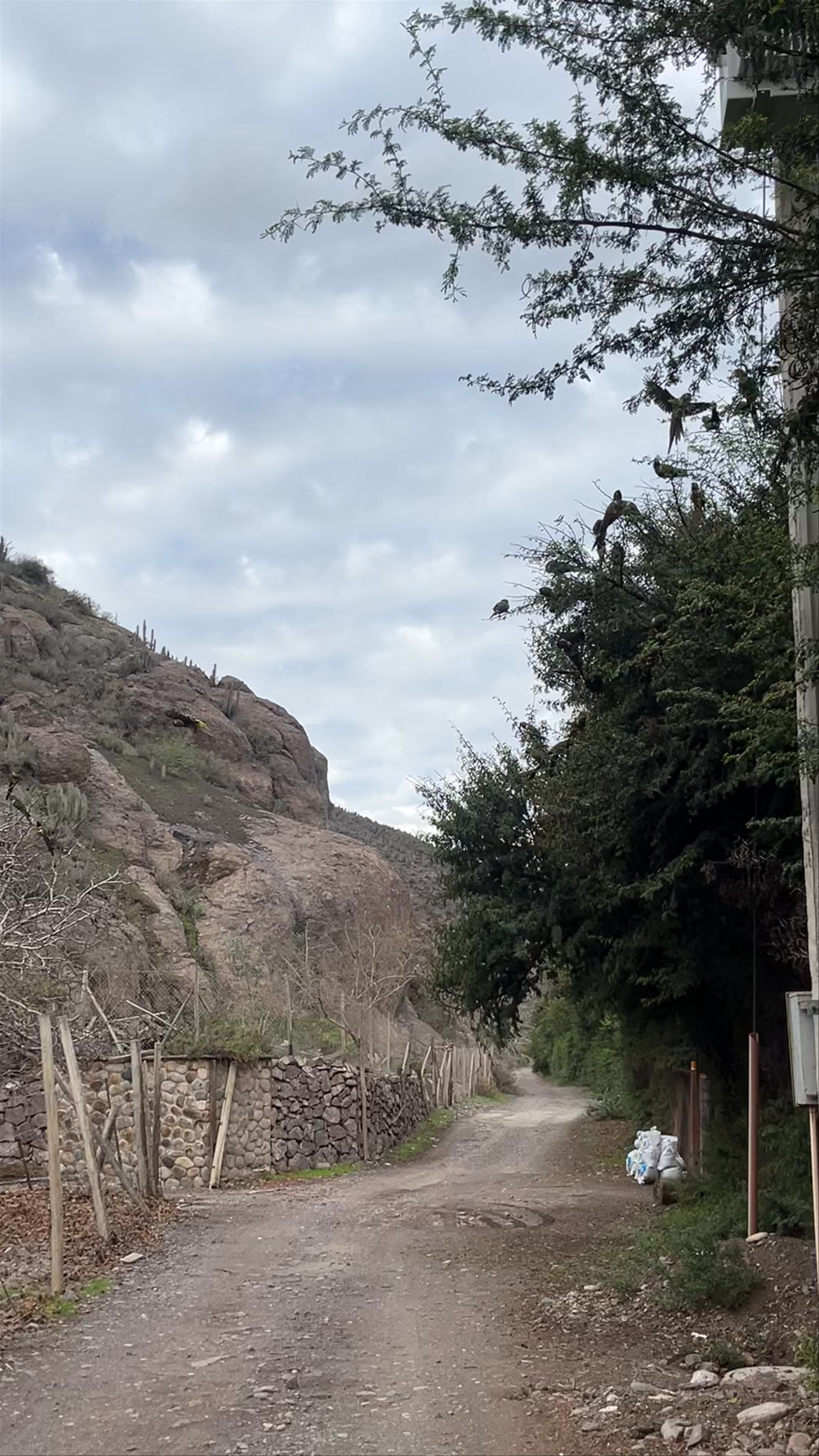 Camping La Riojana El Molle La Serena - Callejon Ferrenor