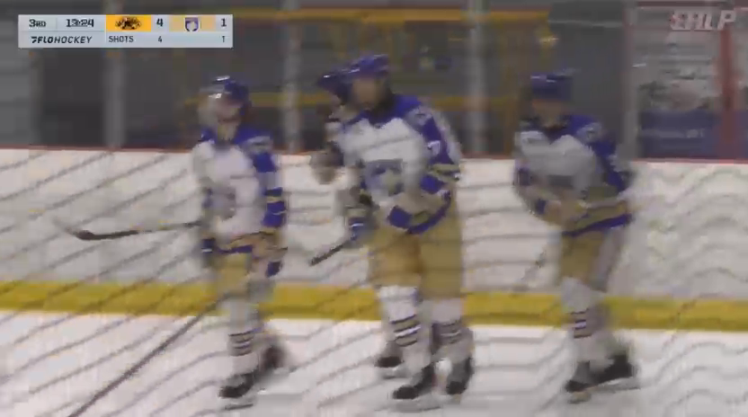 Tomass Vekselis: Stunning Goals & Highlights with New Jersey 87's