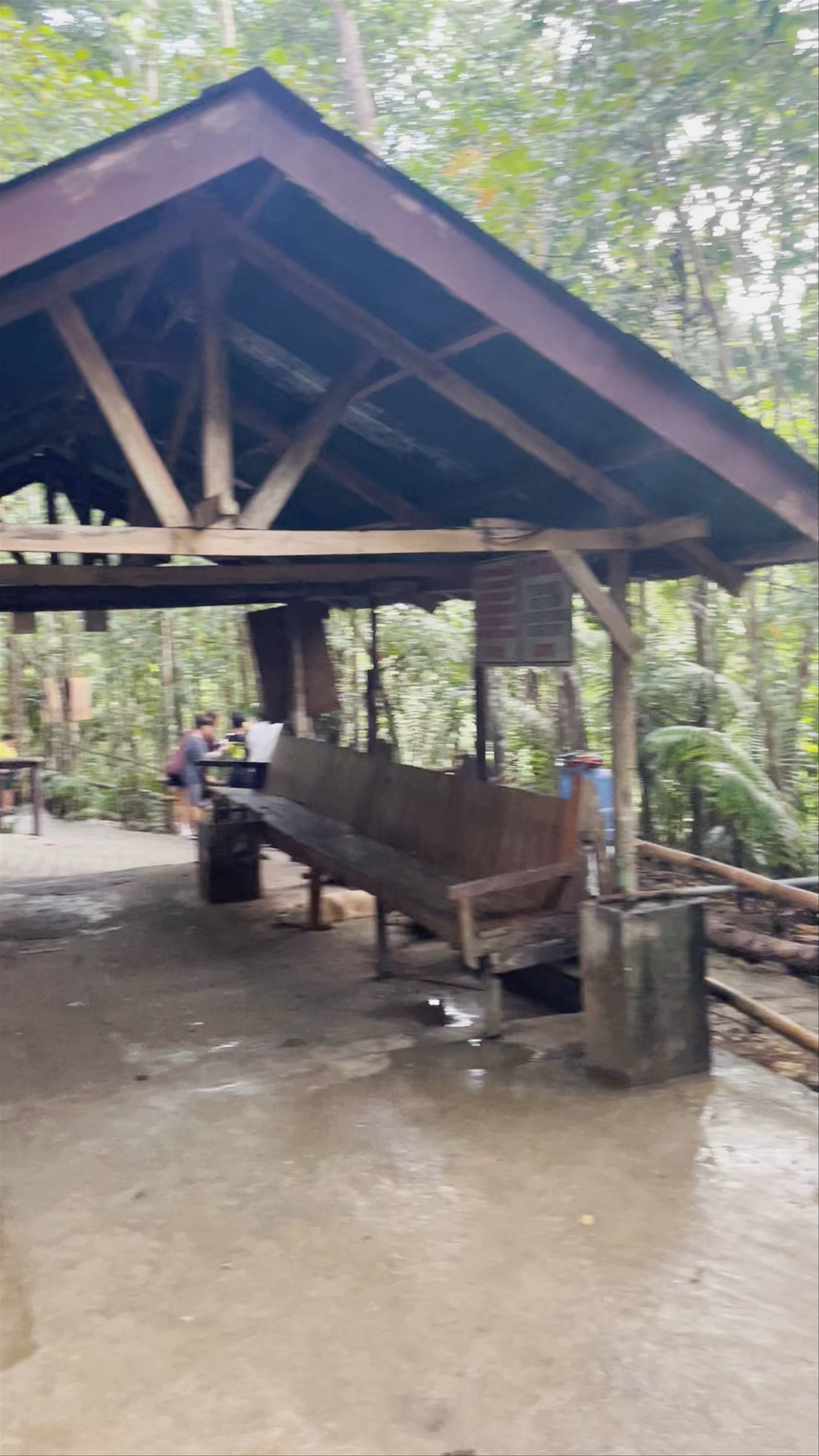 Bohol Tarsier Conservation Area