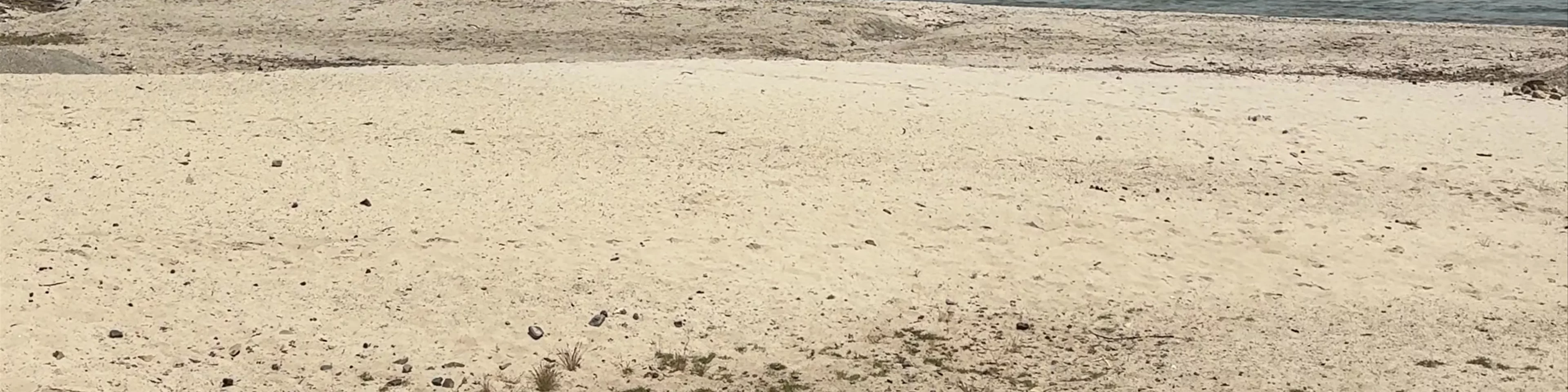 Playa Ch'allaxa de Challapampa
