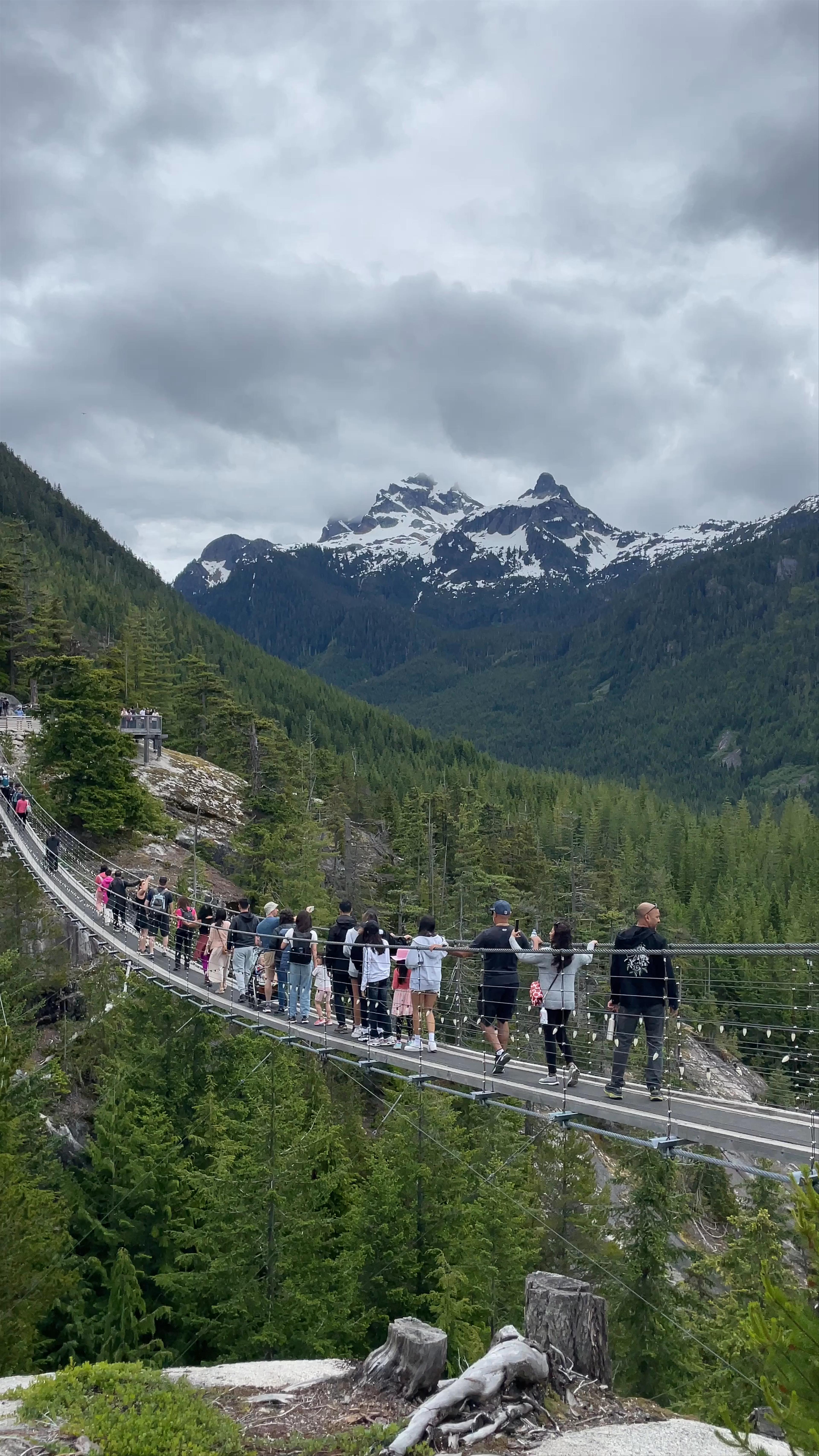 Sky Pilot Suspension Bridge