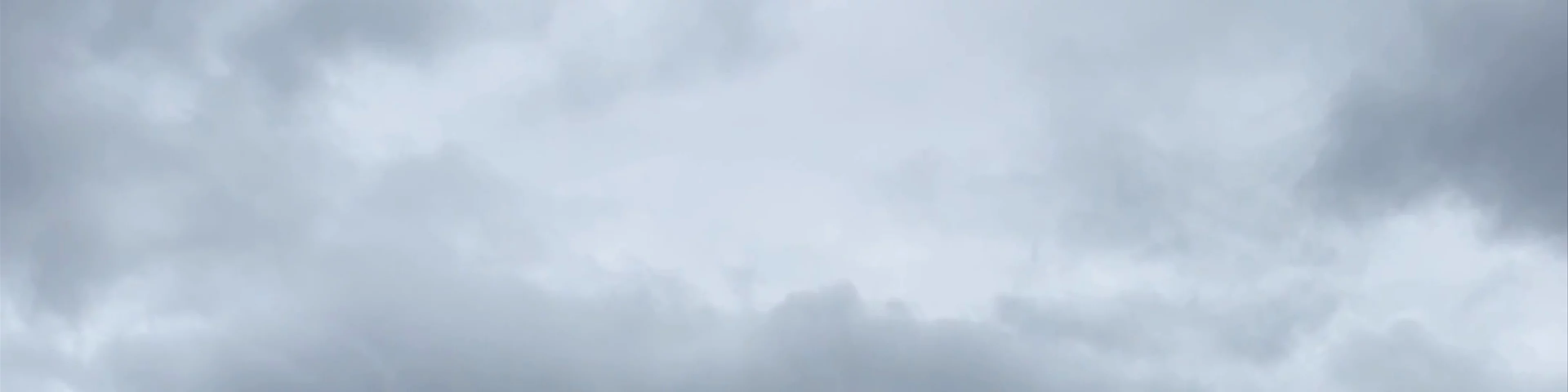 Sky Pilot Suspension Bridge