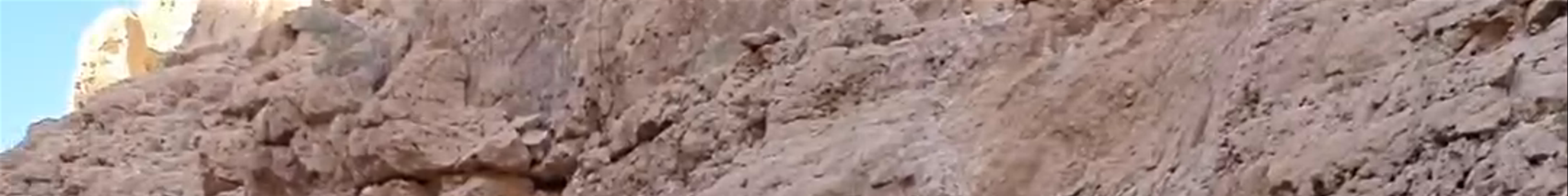 Tours & experiences in Muscat