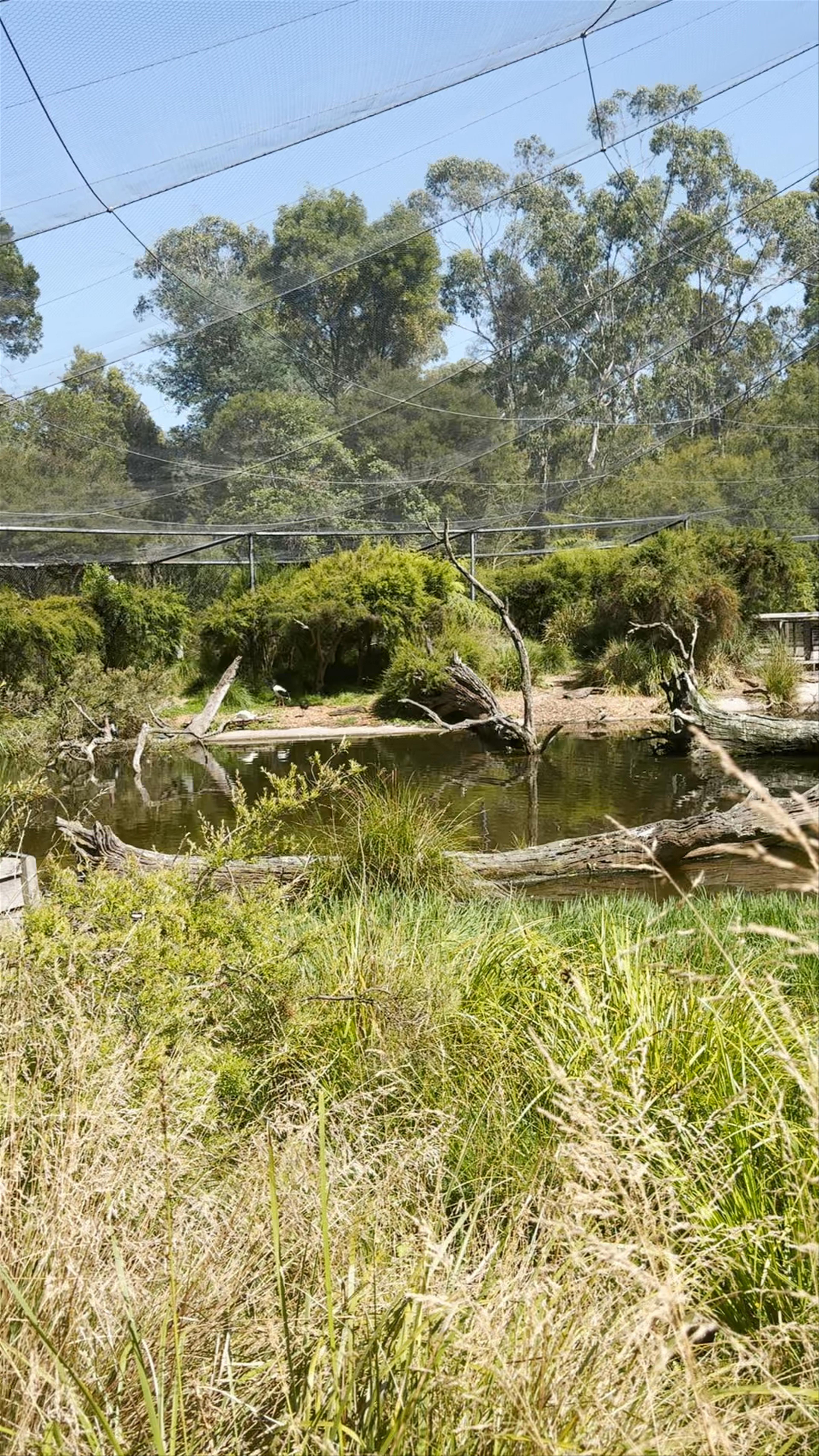 Healesville Sanctuary (Zoos Victoria)