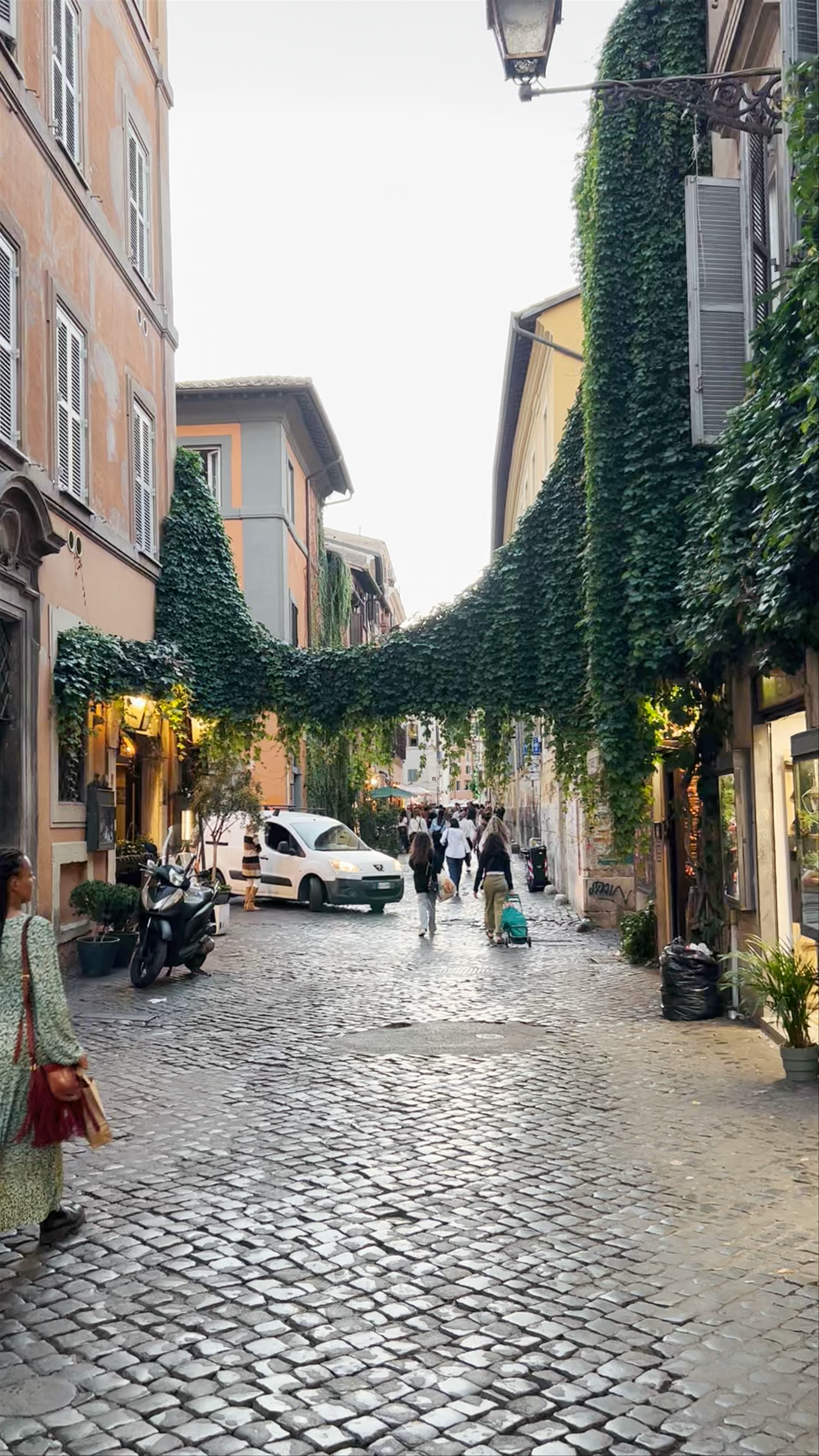 Tonnarello