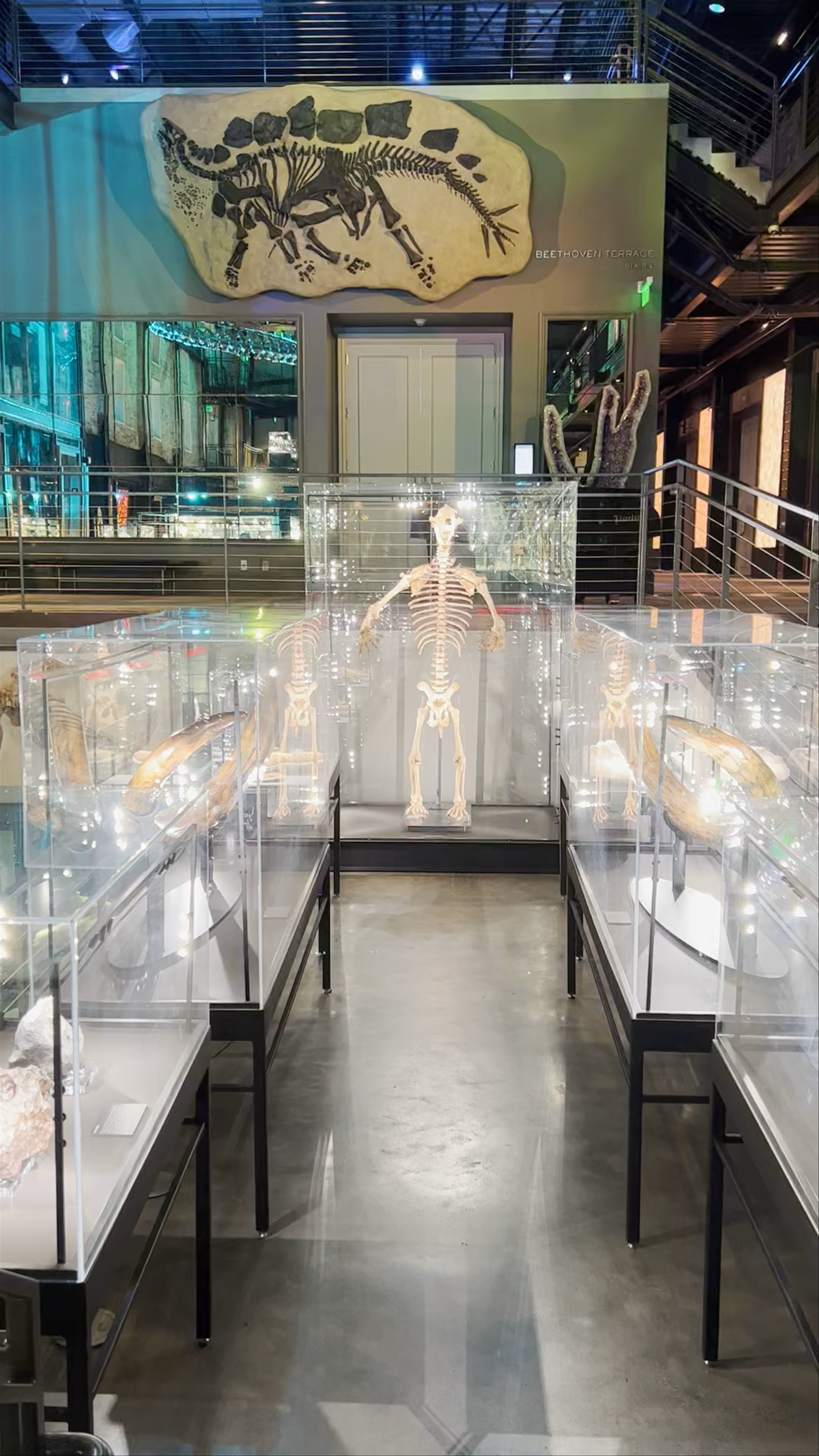Exploring Natural History and Fossils at Savannah Marriott Riverfront