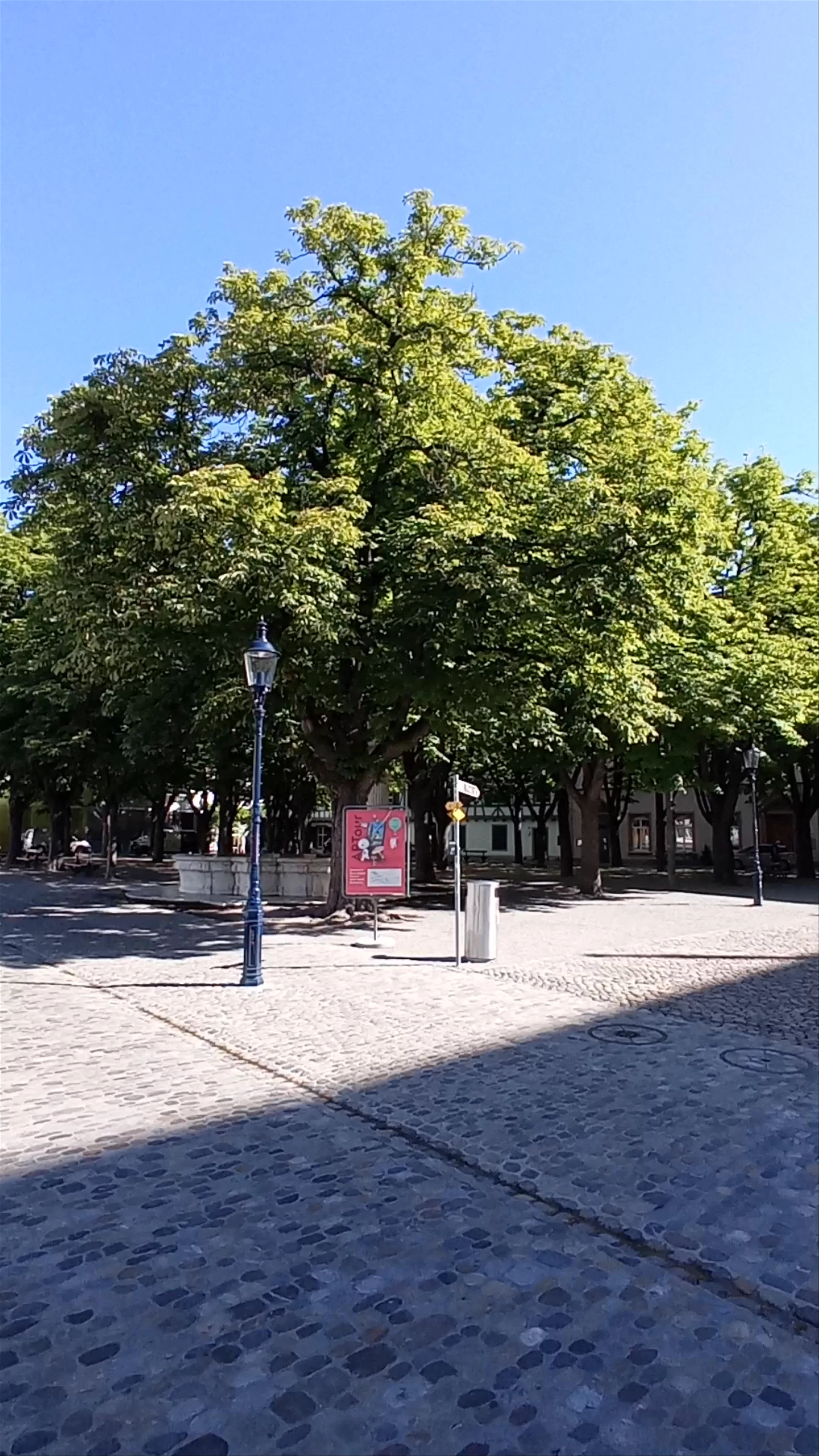Münsterplatz