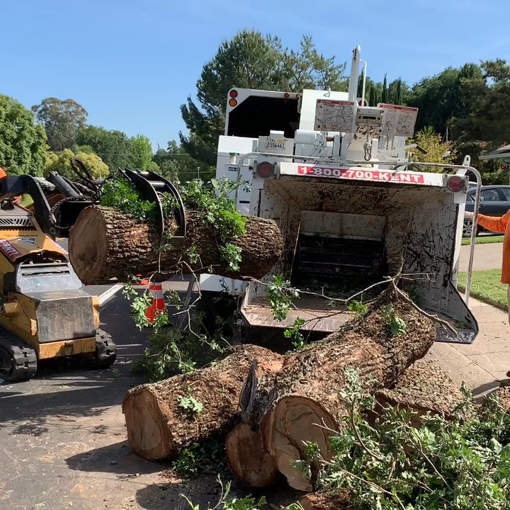 Kent Arborist Services - Material handler grapples with the heavy wood logs to maximize work production and ensure worker safety. - Tree Services Near Me - Granite Bay, California