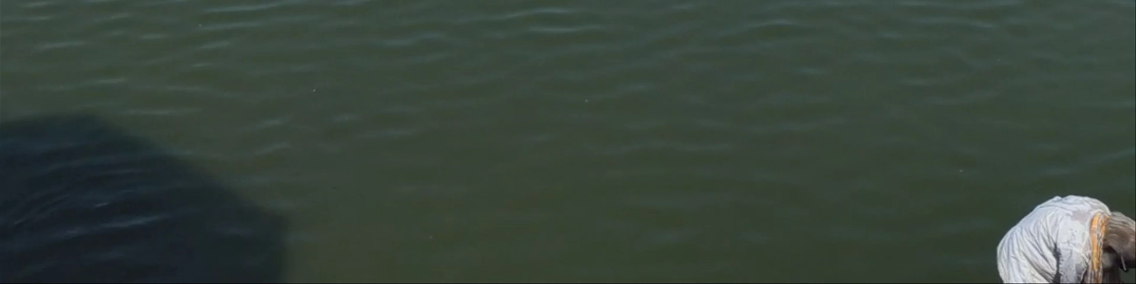 Pushkar lake