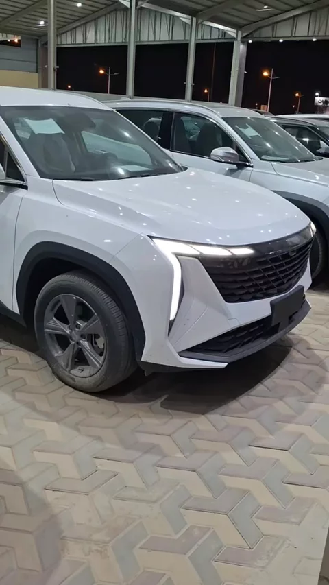 جيلي ستار راي GL 2024