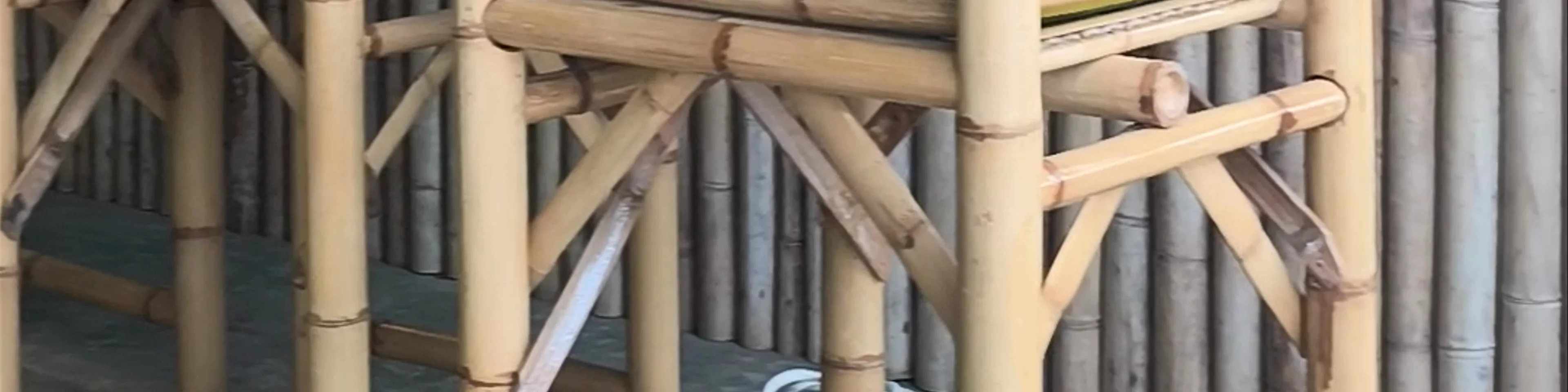 Hornbill Bar