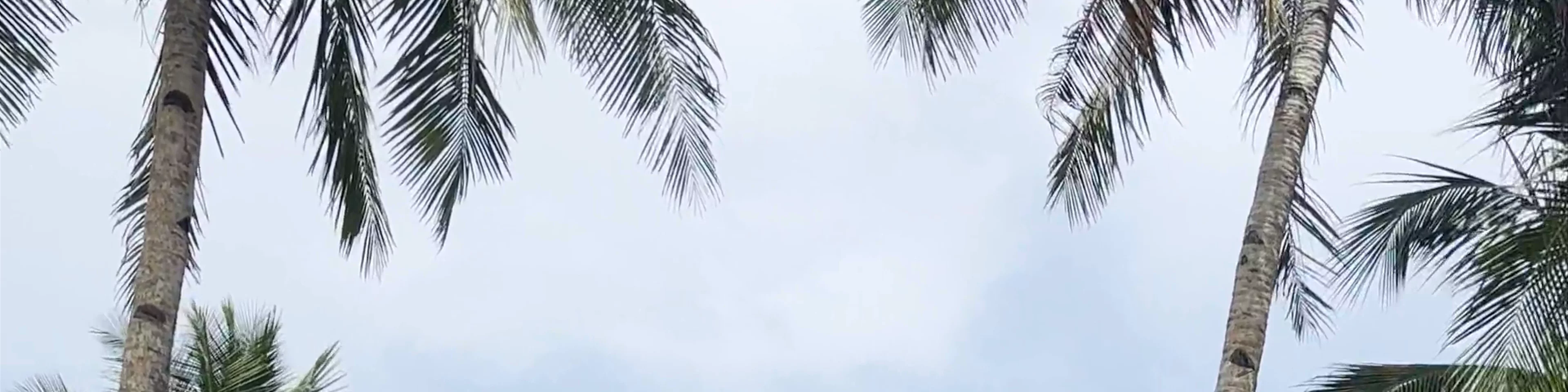 Siargao Island Villas
