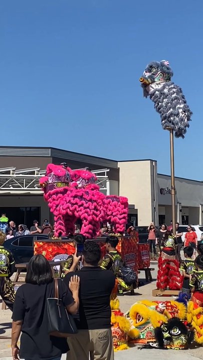 Ann’s Teahouse - Lunar New Year celebration - Vietnamese Near Me - Houston, Texas