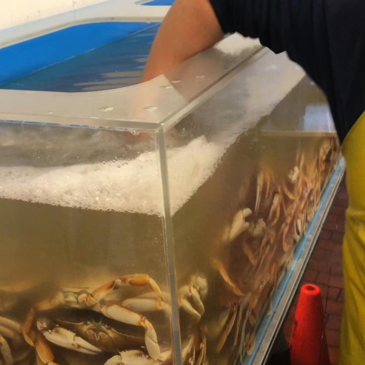 Monterey Fish - Hand-crabbing - Seafood Markets Near Me - Berkeley, California