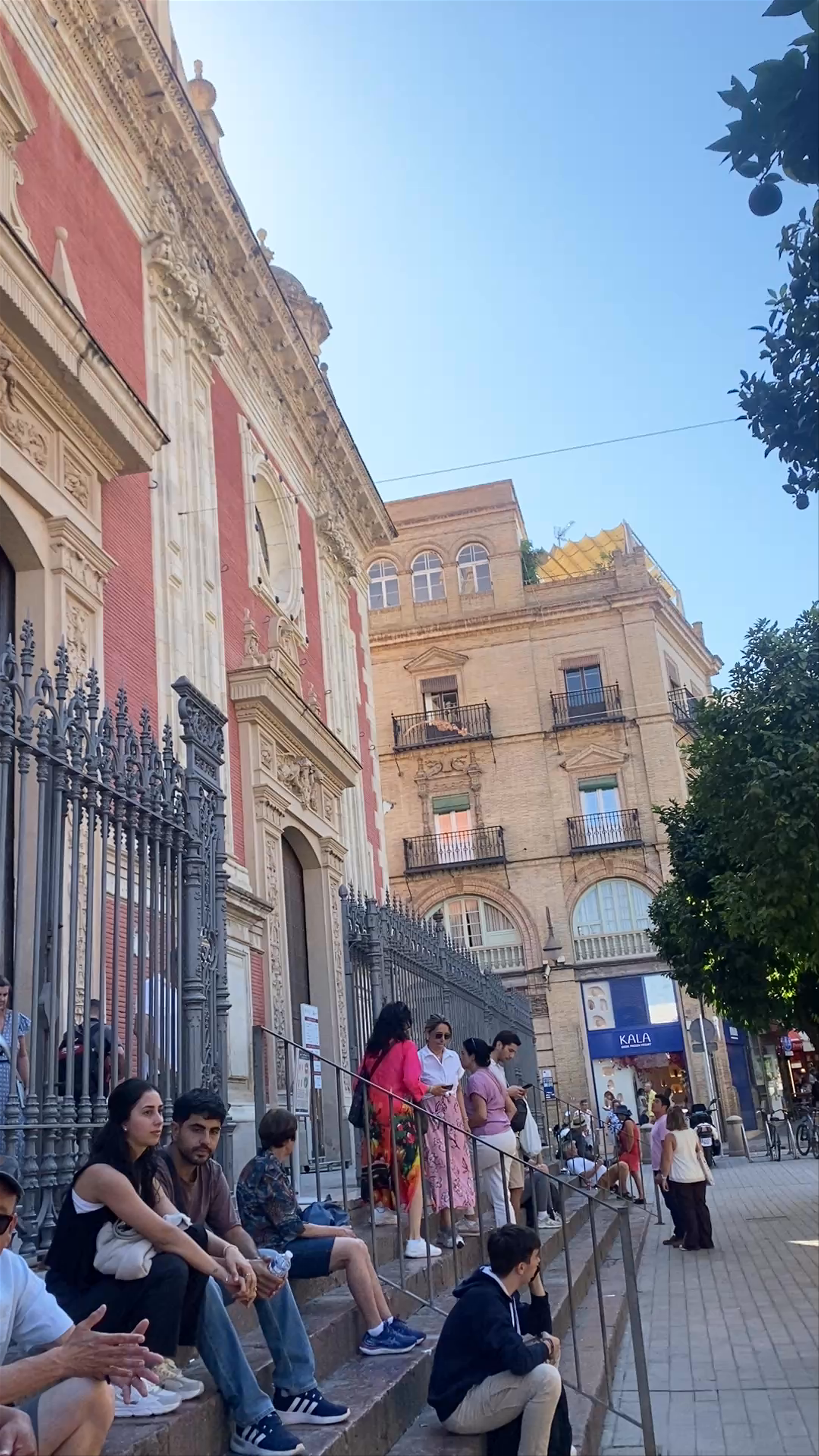 Iglesia Colegial del Divino Salvador