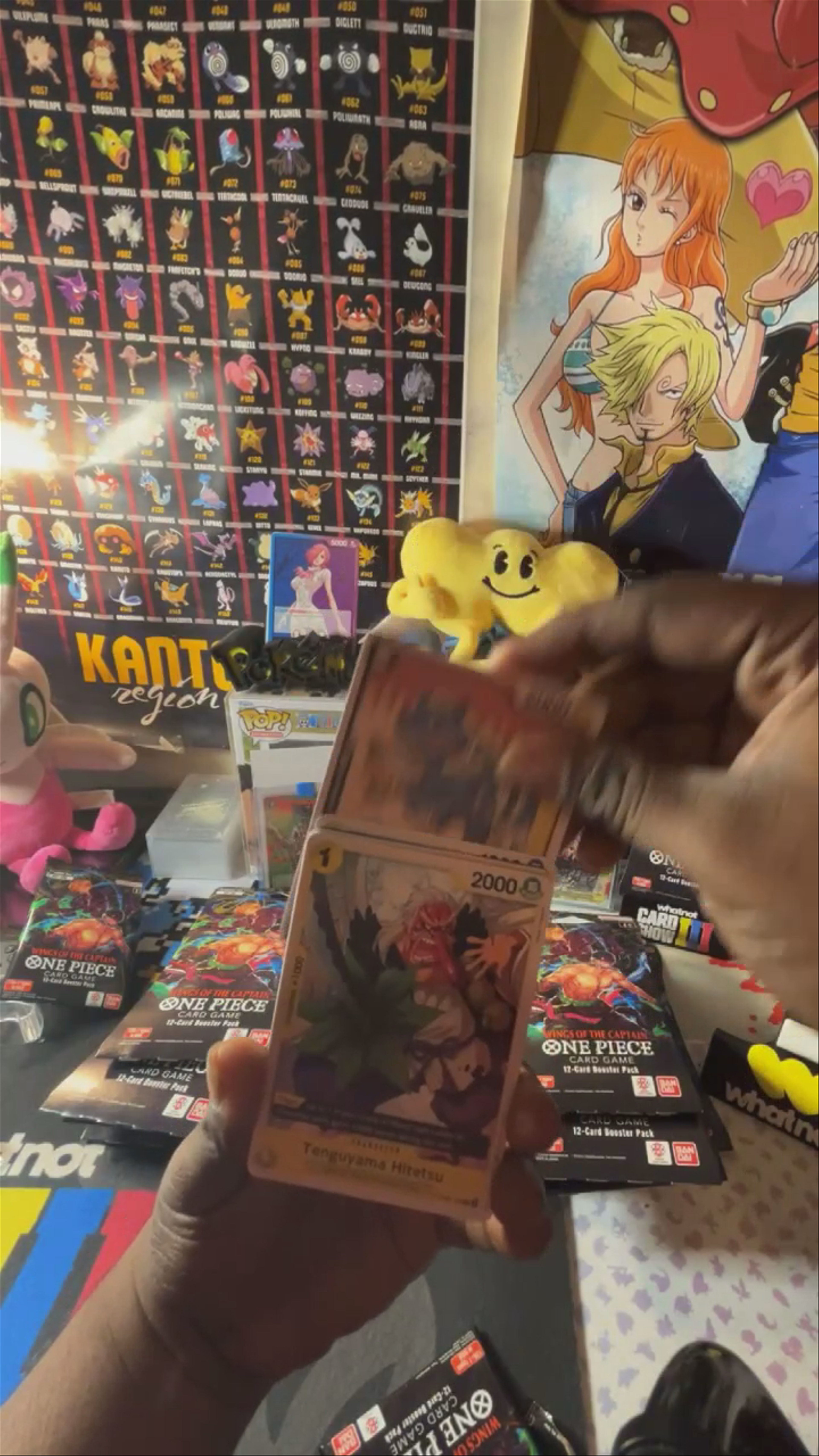One piece 06 eng manga chases 