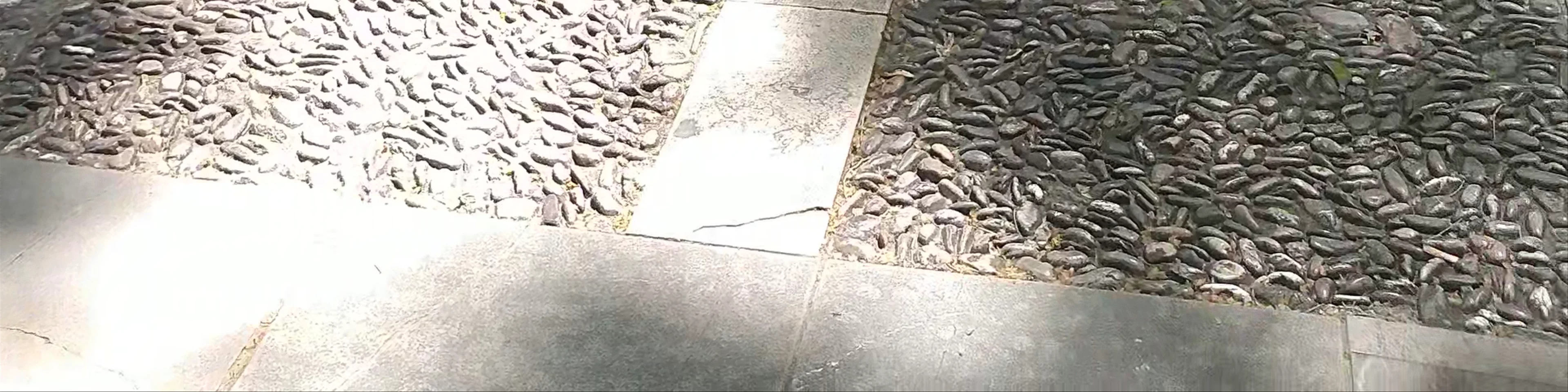 S'Hort del Rei