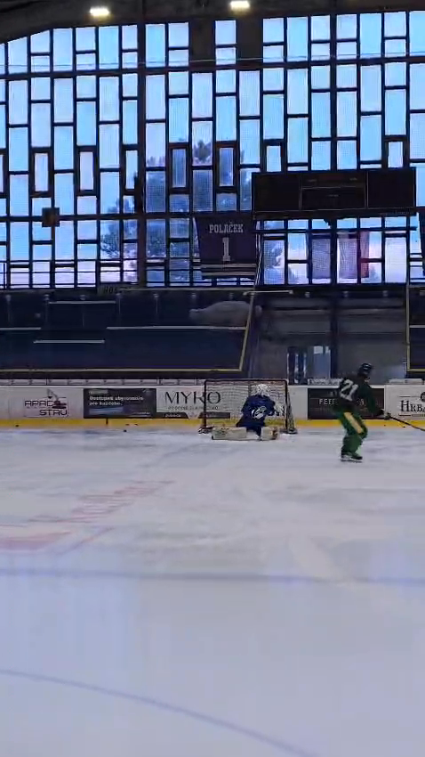 Tomas Hric Training with USHL Stars: On-Ice Highlights & Skills