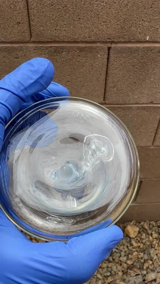 Preview pic of Getz Glass X Sprout Glass