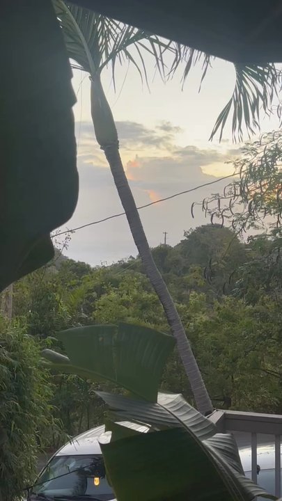 Ode To The Elephants - Beautiful view and great environment! - Thai Near Me - Rincon, Puerto Rico