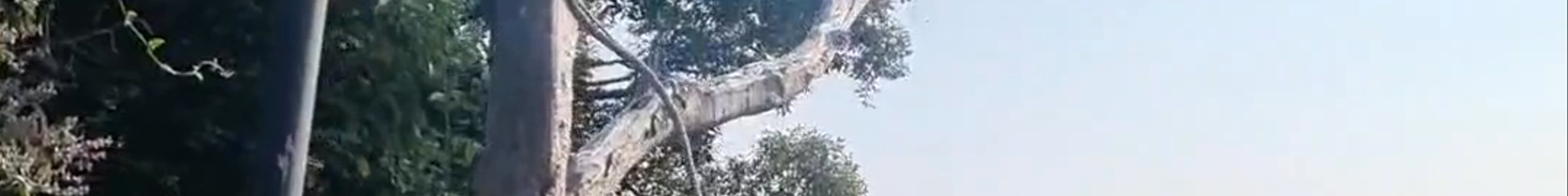 Tours & experiences in Ban Nahin
