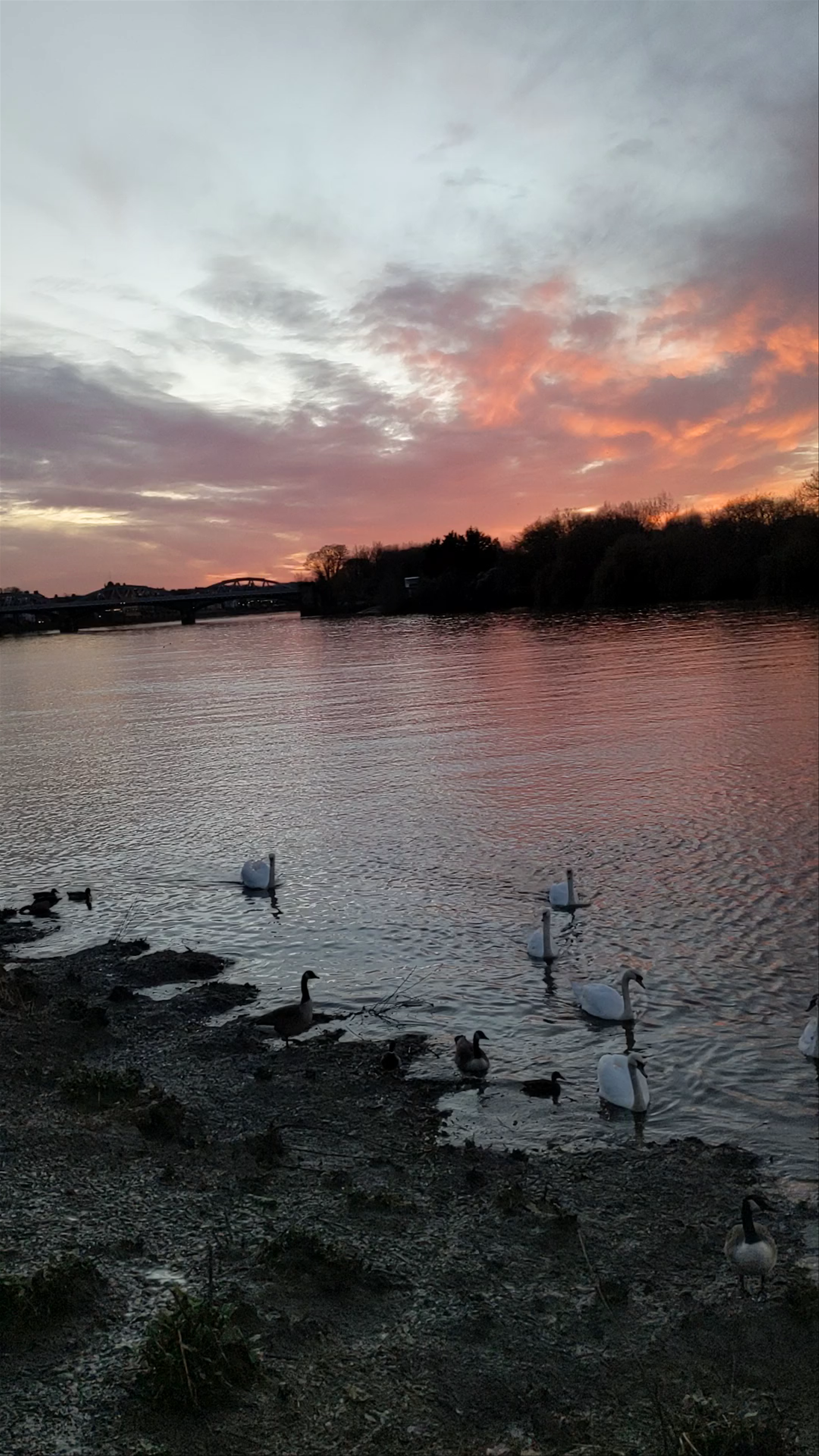 Tranquil Sunset by the Thames Path, London