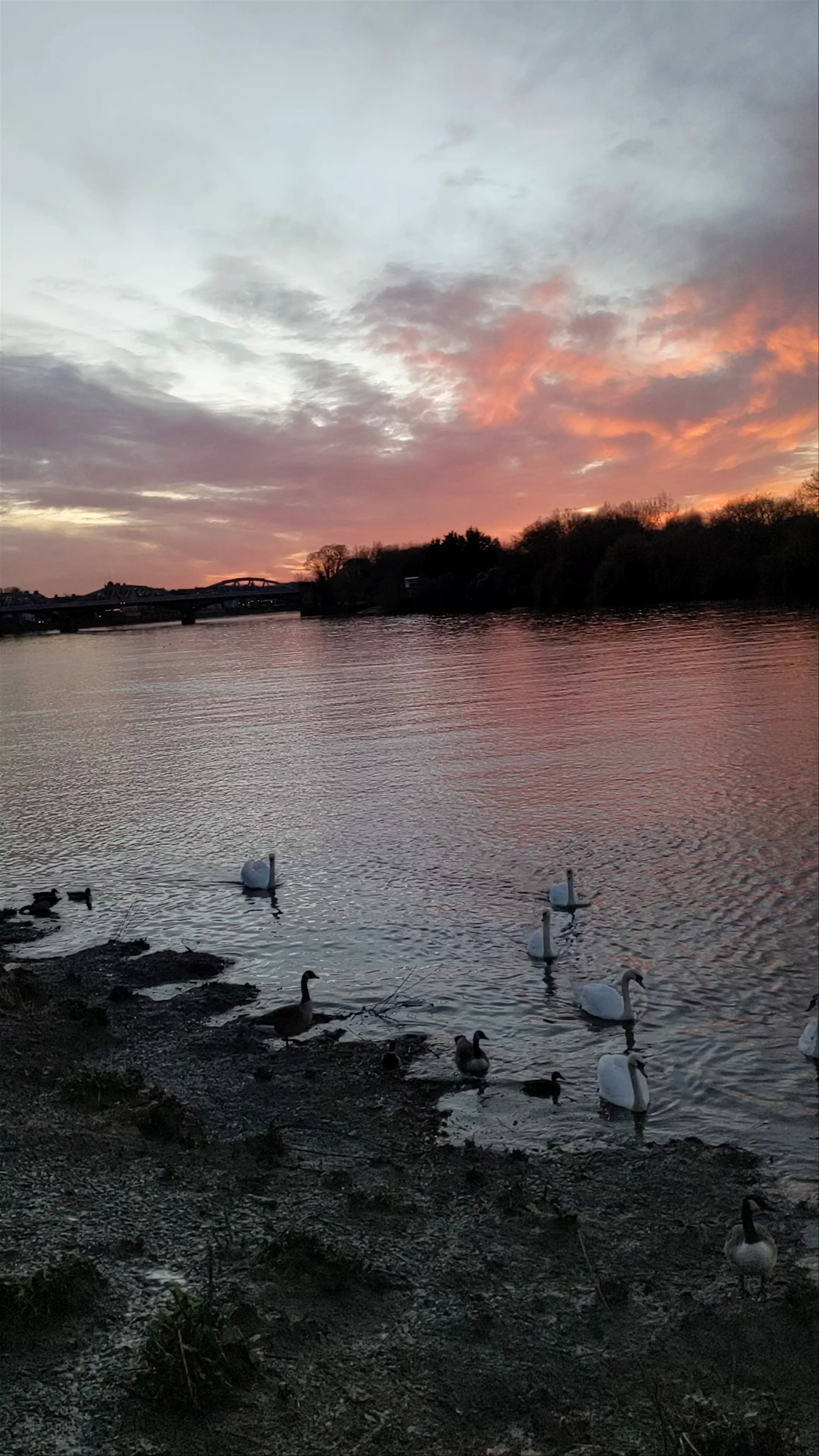 Thames Path