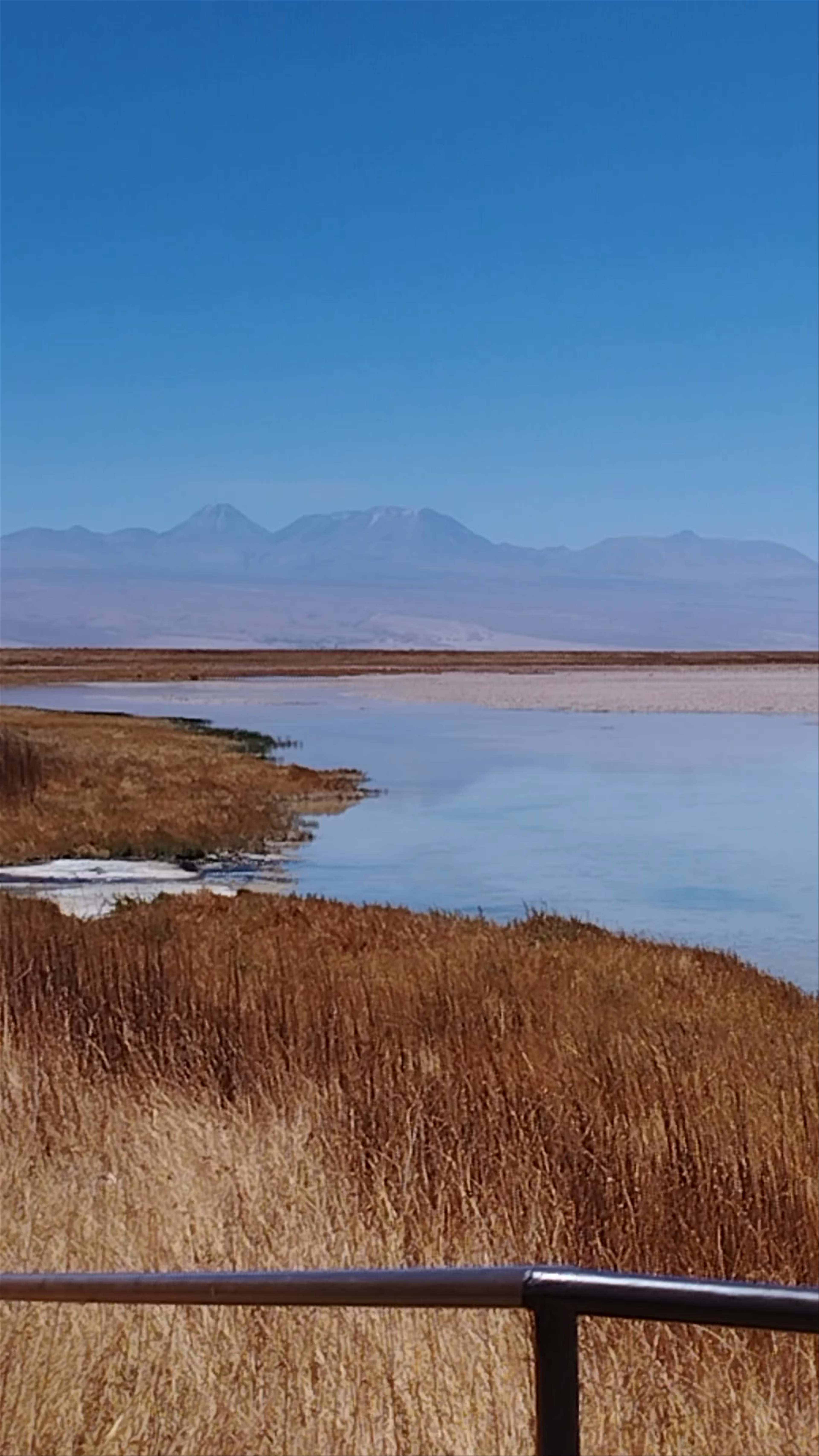 Laguna Cejar