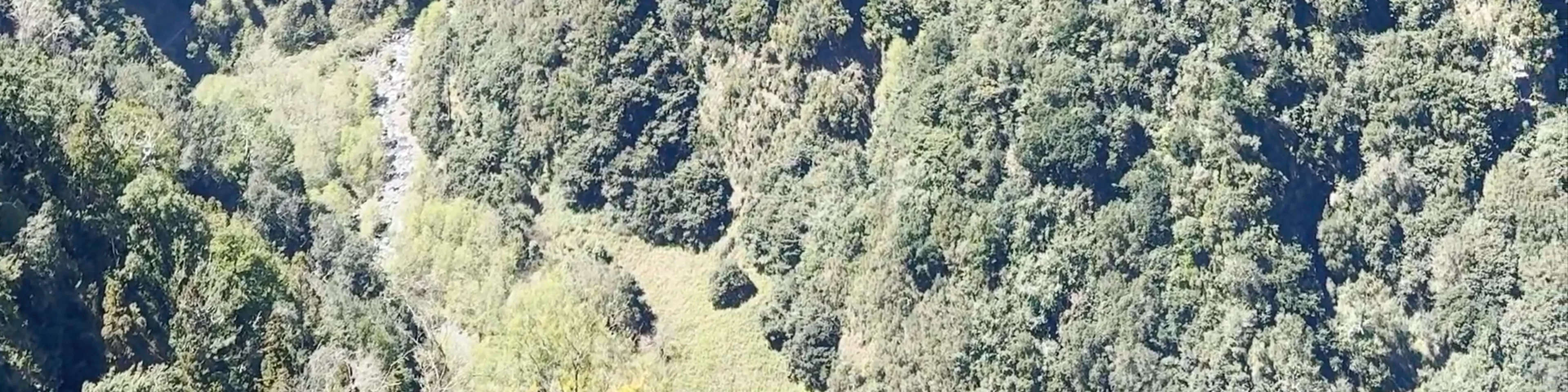 PR11 Levada dos Balcões